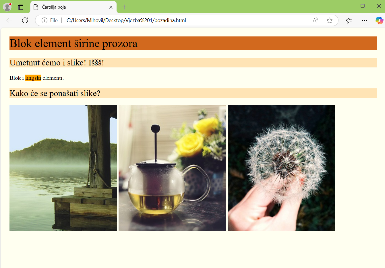 HTML blok i linijski elementi - vježba 1.3